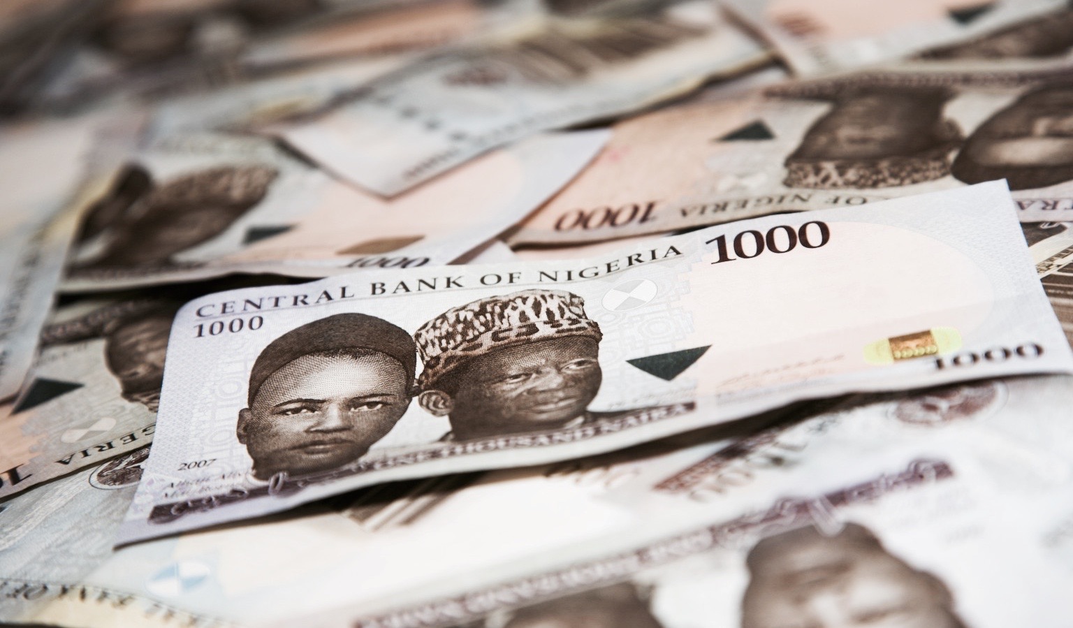 1000 naira bills, Nigerian currency.